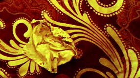 Neighbor's dirty laundry inspires intense masturbation