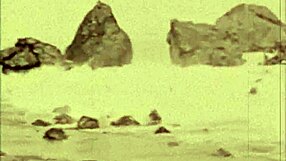 exploring a moorish harem chapter tonight 😊