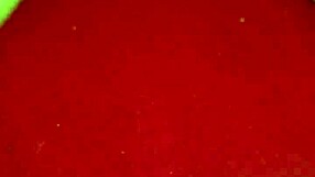 Collection Of Videos Featuring Various Actions Roles And Themes From Different Categories