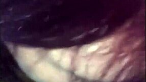 My wife sucking black cock?