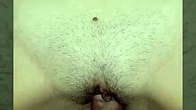 Collection Of Videos Featuring Various Actions Roles And Themes From Different Categories