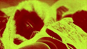 the pirate meets the angels of the nile, starting with blowjobs and kissing before masturbation