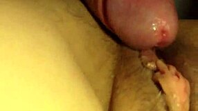 Enjoying the russian experience in the usa