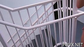 exploring dixie belle's pov life