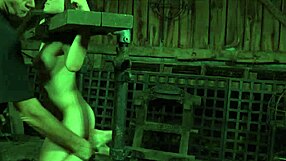 Hey there, check out this beauty getting her holes stuffed with electric toys