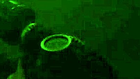 trina michaels gets facial after hardcore blowjob!