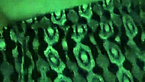 Bent Over Doggystyle Groping Tits