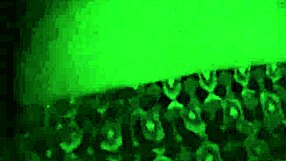 Bent Over Doggystyle Groping Tits