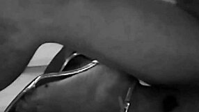 Our 2020 Carnival Trailer in Full Color on Red