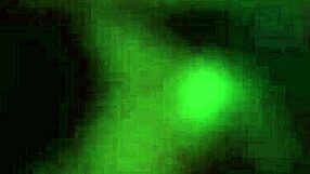 Crossdressing Amateur Approaches Strangers On Street For Sex