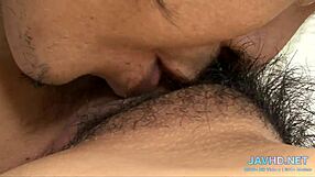 Japanese models reveal their hairy pussies in this warm compilation.