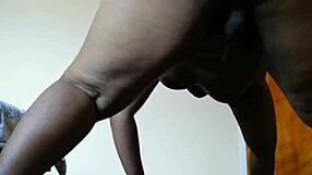 Ορνιάρικη BBW shemale γυμνάζεται και παίρνει κολλώδες κρεμμύδι