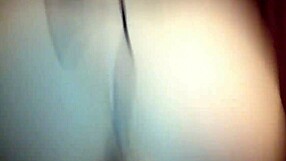 kitty's playful time with friends