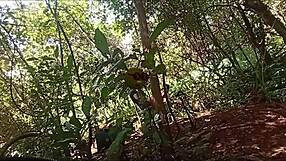 Anal Apertado: Crna Mlada Uzima Duboko u Dupe!