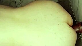 Dildo Stuck on the Wall