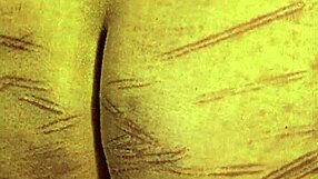 vintage lesbian bondage chat 😈