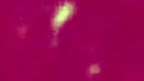 Horny stepbrother finally cums inside