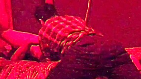 fucking with my straight married friend part one