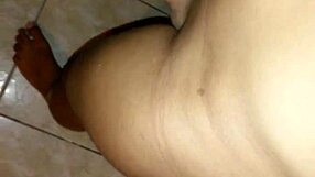 2013 Shemale Amateur Encounter