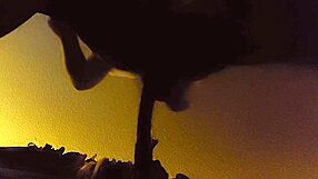 janna love, that cute crossdresser, playing hard with her hot ass and 11 inch dildo?