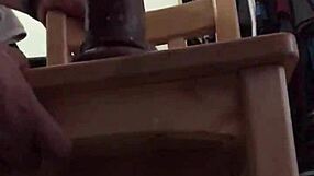 Gay dandome sentones in a wild ride tonight