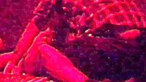 Chilling with my straight married friend part two