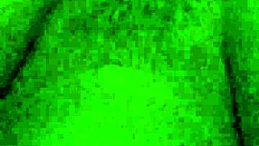 Pha Trinh Em Yeu in Tight Action