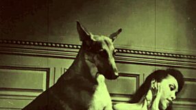 Dark Lantern Entertainment Představuje Retro Chlupatou Akci