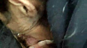 Intense blowjob with deepthroat and cock sucking