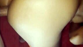 university girl begs for hard anal sex