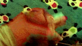 Discovering my neighbor's dirty laundry secrets