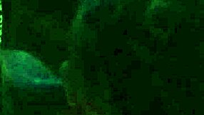 I watch angelg and kuzz deepthroat cock in the kitchen