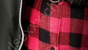 cousin lets me in public transport