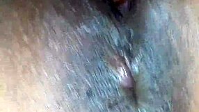 Indian Amateur Birch Sucking Hard Interracial Cock