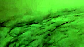 french home exploration