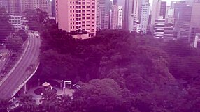 Maid Performs Daily Cleaning Duties in the Household