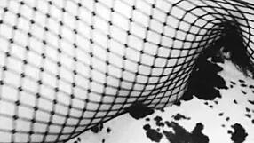 watch this amateur milf couple explore their first homemade sex adventure together