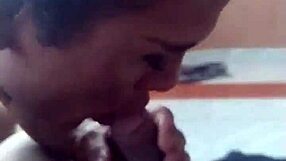 Obedient Shemale Intensely Sucking Cock