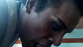 Obedient Shemale Intensely Sucking Cock