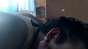 Obedient Shemale Intensely Sucking Cock