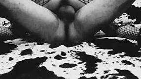 watch this amateur milf couple explore their first homemade sex adventure together