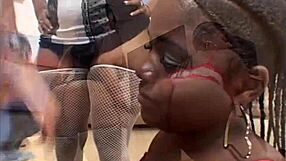 Człowieku, przysięgam, czarne dziwki uwielbiają głębokie gardło i spermę