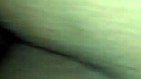 hey, watch this ebony amateur bent over for doggystyle pussy pounding