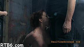 amateurs explore new boundaries together