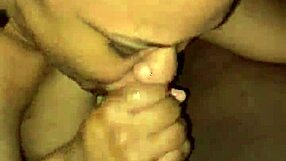 Amateur Performs Detailed Blowjob On Cock Eagerly