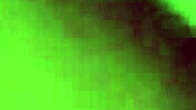 Homegrown Amateur Video