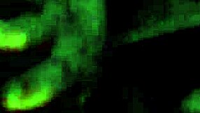 The mature wife surprises her husband with an amateur blowjob at home.