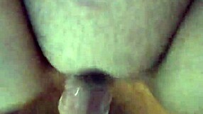 Mexican babe moans as I plunge deep into her wet pussy