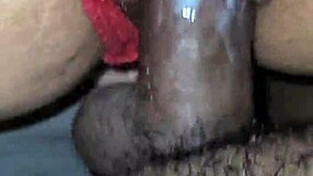 wife enjoys home life