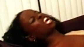 Twin Chocolate and Mocha Surprise in Wild Action